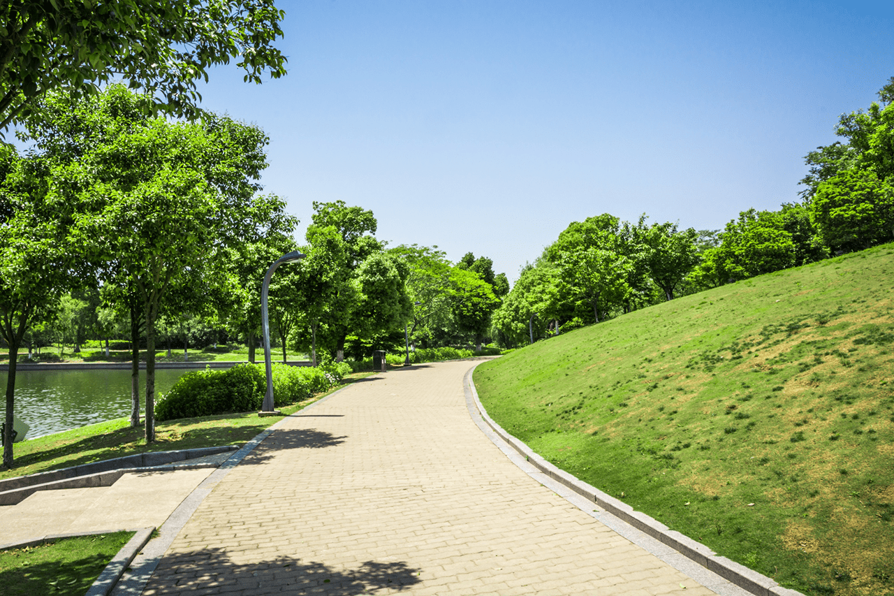 A promenade in a sunny, green park.